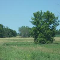 10355 County Road 52