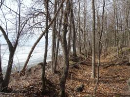 TBD Ottertail Point