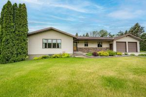 39621 Yellow Pine