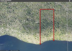 TBD Pine Island