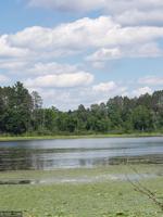 xxx Fools Lake Drive