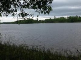2876 Hwy 11 S