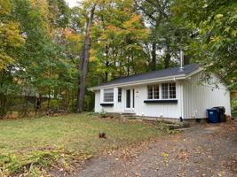 21145 Forest