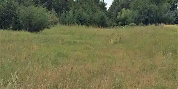 Lot 6 Co Rd 9