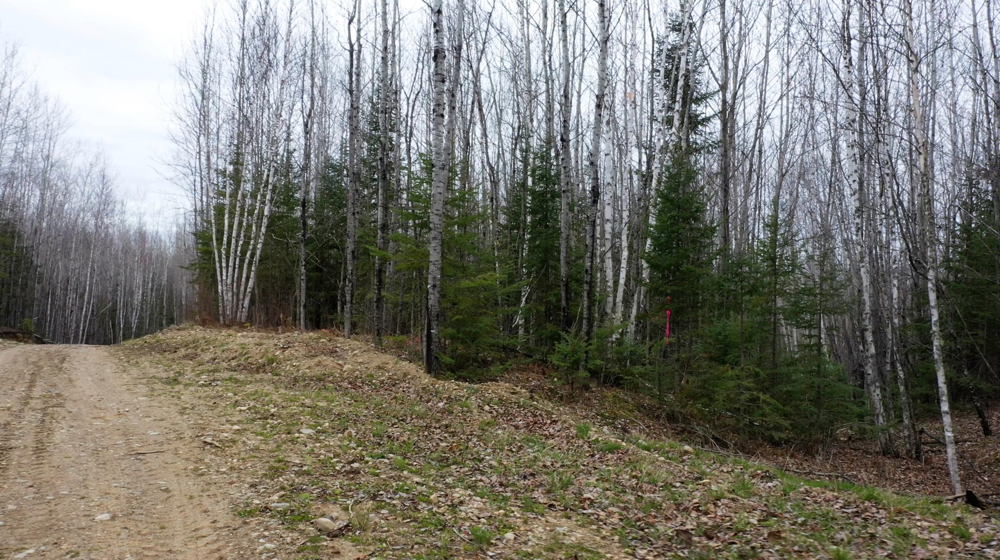 Image 2 Image 2