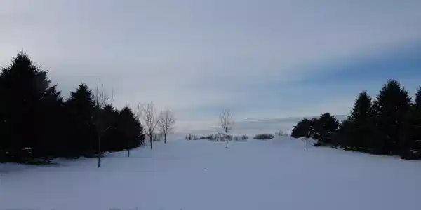 13 Pheasant Drive