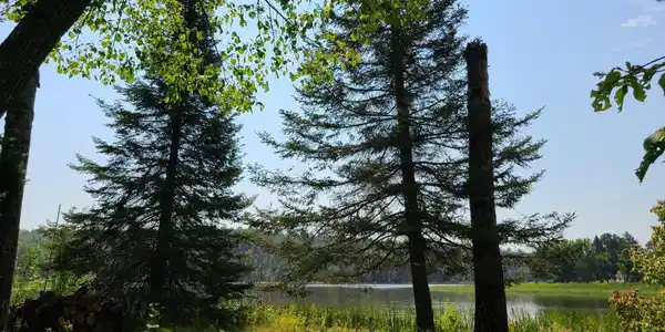 Image 3 Image 3