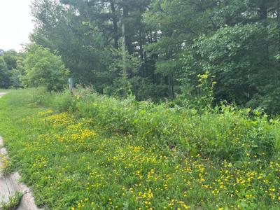 TBD Lot 3 5th S