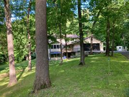 4648 Woodland