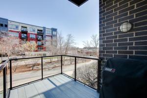 256 Spring