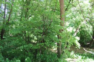 Lot 6 112th NW