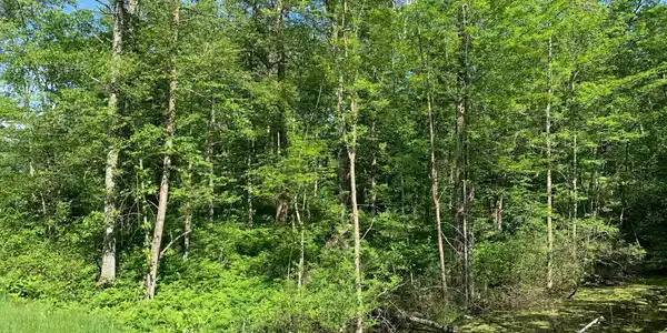 Lot 6 Blk 1 216th
