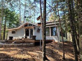 53570 Sandy Pine