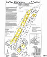 167-L 14 B 2 Pine Tree
