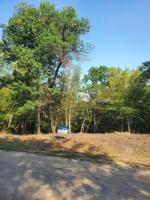 XXXXX Basswood Drive
