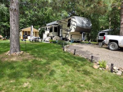 30155 Whitebirch
