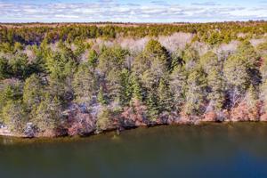 TBD Lot 4 West Fox Lake Road