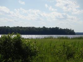 XXX Black Duck Point NE