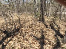 0 Forest Park Road SW