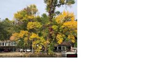22359 Lake View