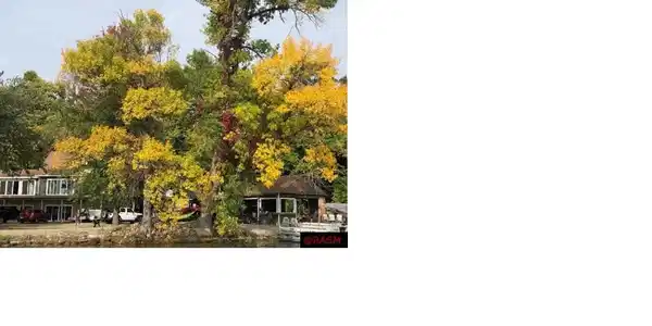22359 Lake View