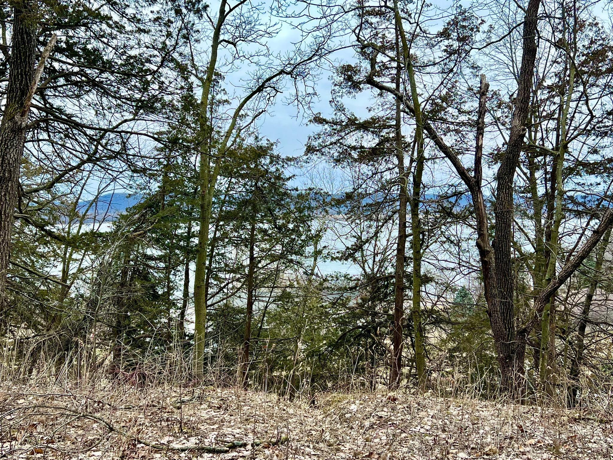 Image 4 Image 4