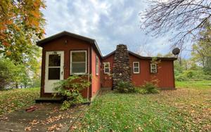 44231 Conifer