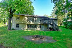 433 Pine Tree