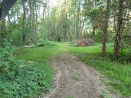 712 Birch