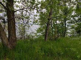 11700 Lot 36 Indian Beach