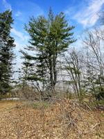 39229 Arrowhead