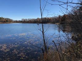 TBD3 Fools Lake Drive
