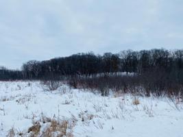 Lot 1 Block 1 136th