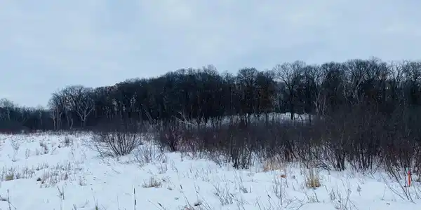 Lot 1 Block 1 136th