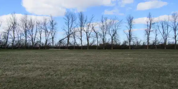 13 Lime Lake