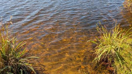 24608 E Long Lake Road