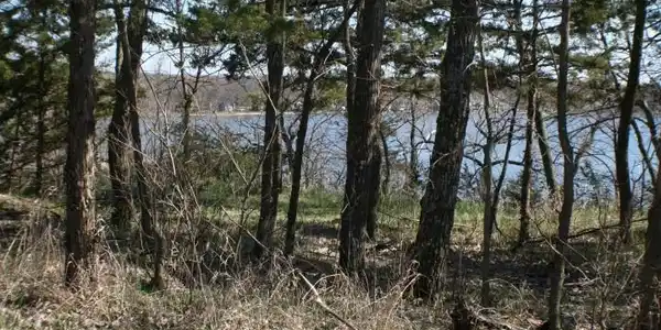 Lot 4 Games Lake N