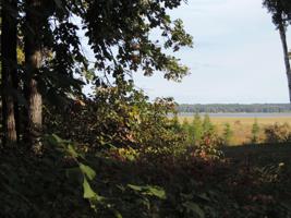 TBD Lot 13 Grouse Loop NW