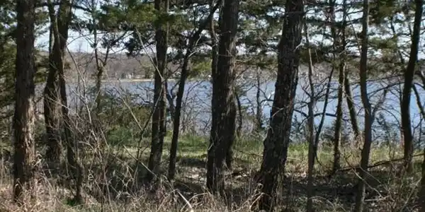 Lot 4 Games Lake N