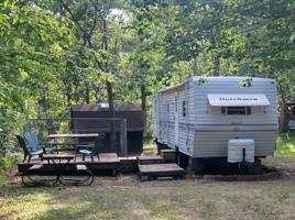 30385 Plumwood
