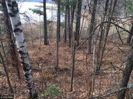 TBD Winterberry Trail