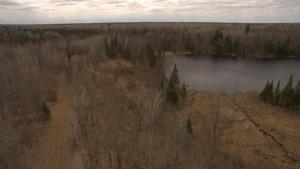 TBD Lot 5 Sugar Bush Trail