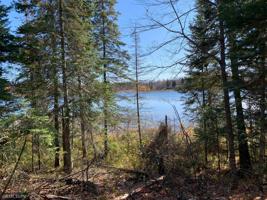 XXX Tract 4 Baby Lake