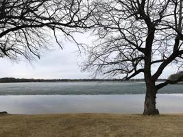 2406 Bradford Bay Road SW