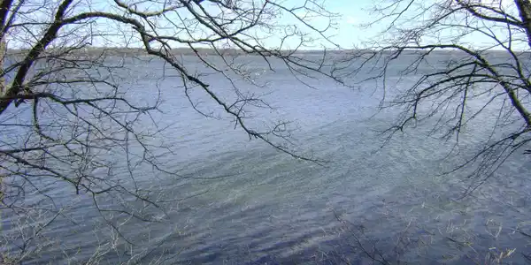 Xxx County Road 10 Pelican Lake