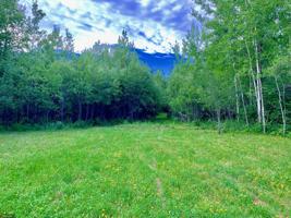 Tract B UT Road 140