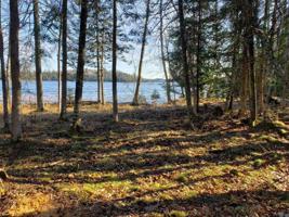 TBD Turtle Lake Road
