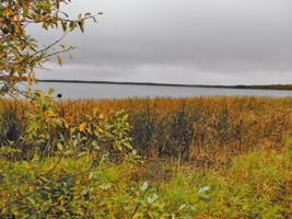 TBD N Blackduck Lake Road NE