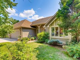 654 White Birch