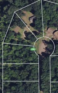 55 Red Wing Drive